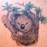 koalamesa