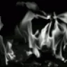 Burner