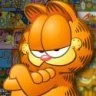 GARFIELD71