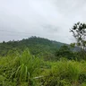 Naren Deb