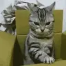 Dangerluz