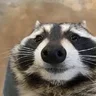 Yupoman