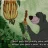BalooBear
