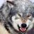 lonewolfie
