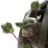 donnafmcu