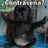 lloquendo19