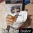 Dialvir