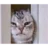 Jenniij